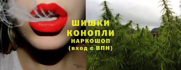 СК Новокубанск