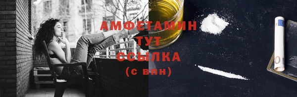 гидра Новодвинск