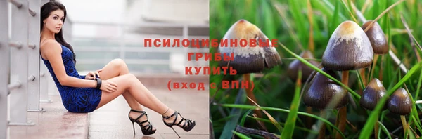 СК Новокубанск