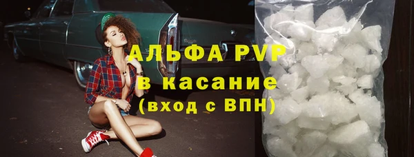 гидра Новодвинск