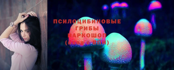 СК Новокубанск