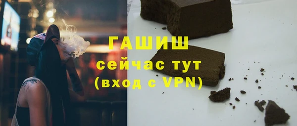 гидра Новодвинск