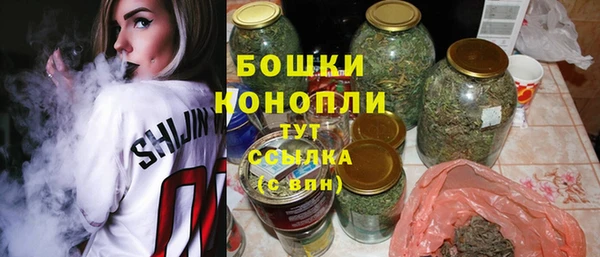 гидра Новодвинск