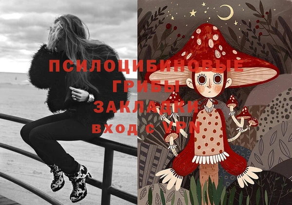 гидра Новодвинск