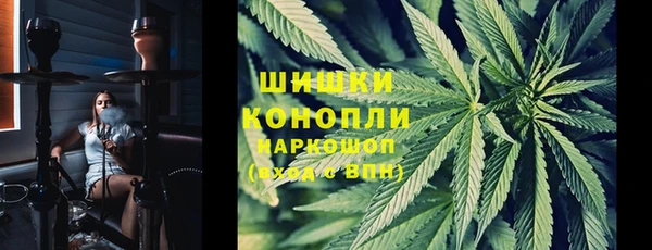 гидра Новодвинск