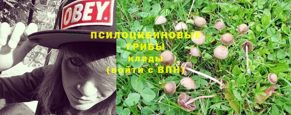меф Новозыбков